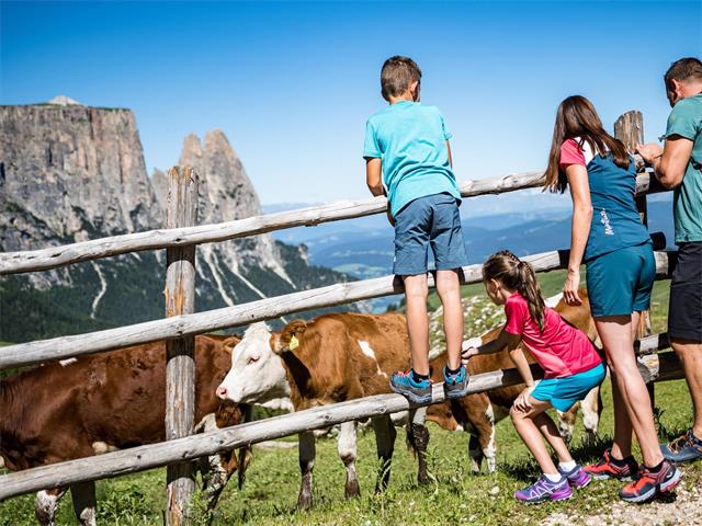 Foto per 50anni parco naturale: escursione per famiglie all'Alpe di Siusi
