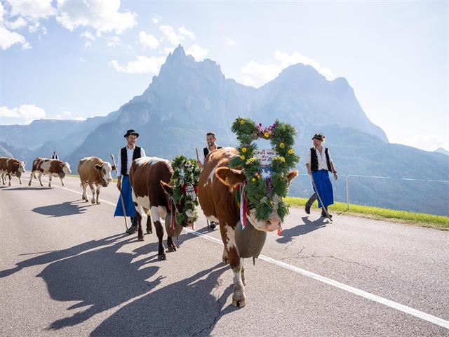 Foto per Transumanza del bestiame - festa a Castelrotto